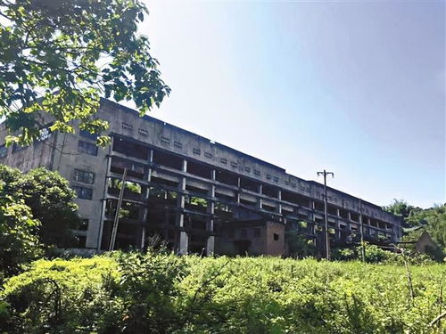 军工厂的新生 重庆深山中昔日机密重地的华丽蝶变，或将成为下一个网红打卡地！
